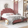 Lit Moderne Coquillage Double - GoDesign.ma